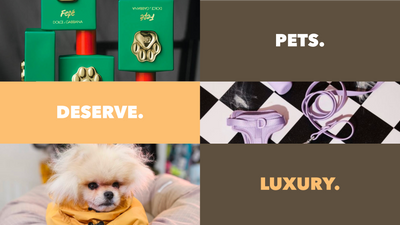 Want to Have The Most Fashionable Pup? Let’s Predict The Pet Trends of 2025!