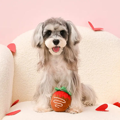 Woof Love / Strawberry Chocolate