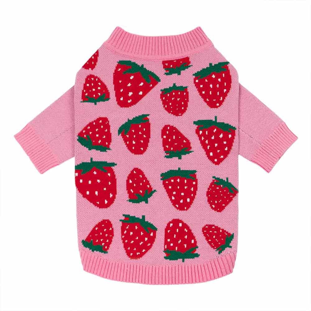 Strawberry Sweater