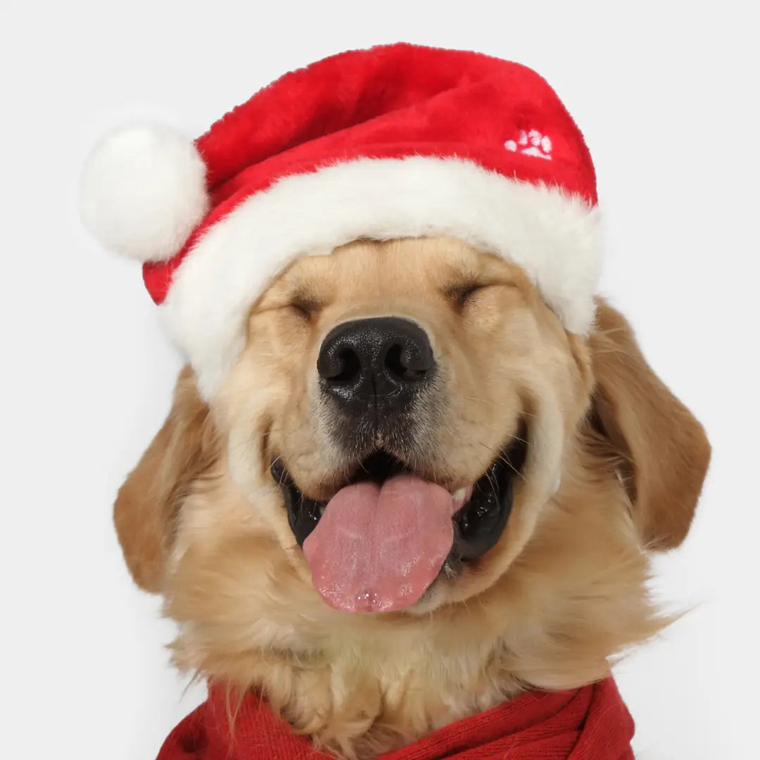 Soft Bites Naughty & Nice