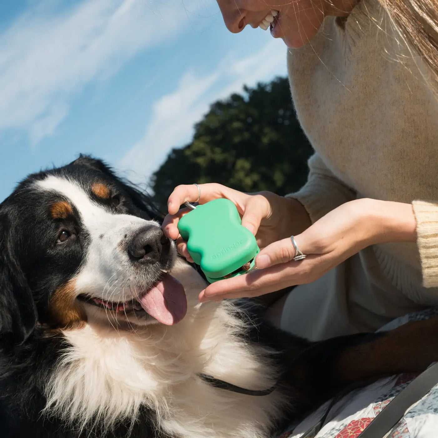 Springer Silicone Dog Treat Dispenser Pouch - Green