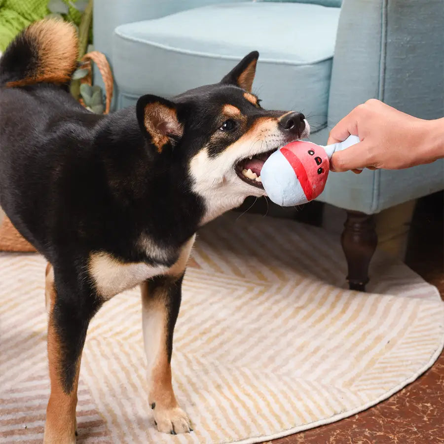 Picnic Time / Backyard Picnic - Plush Toy