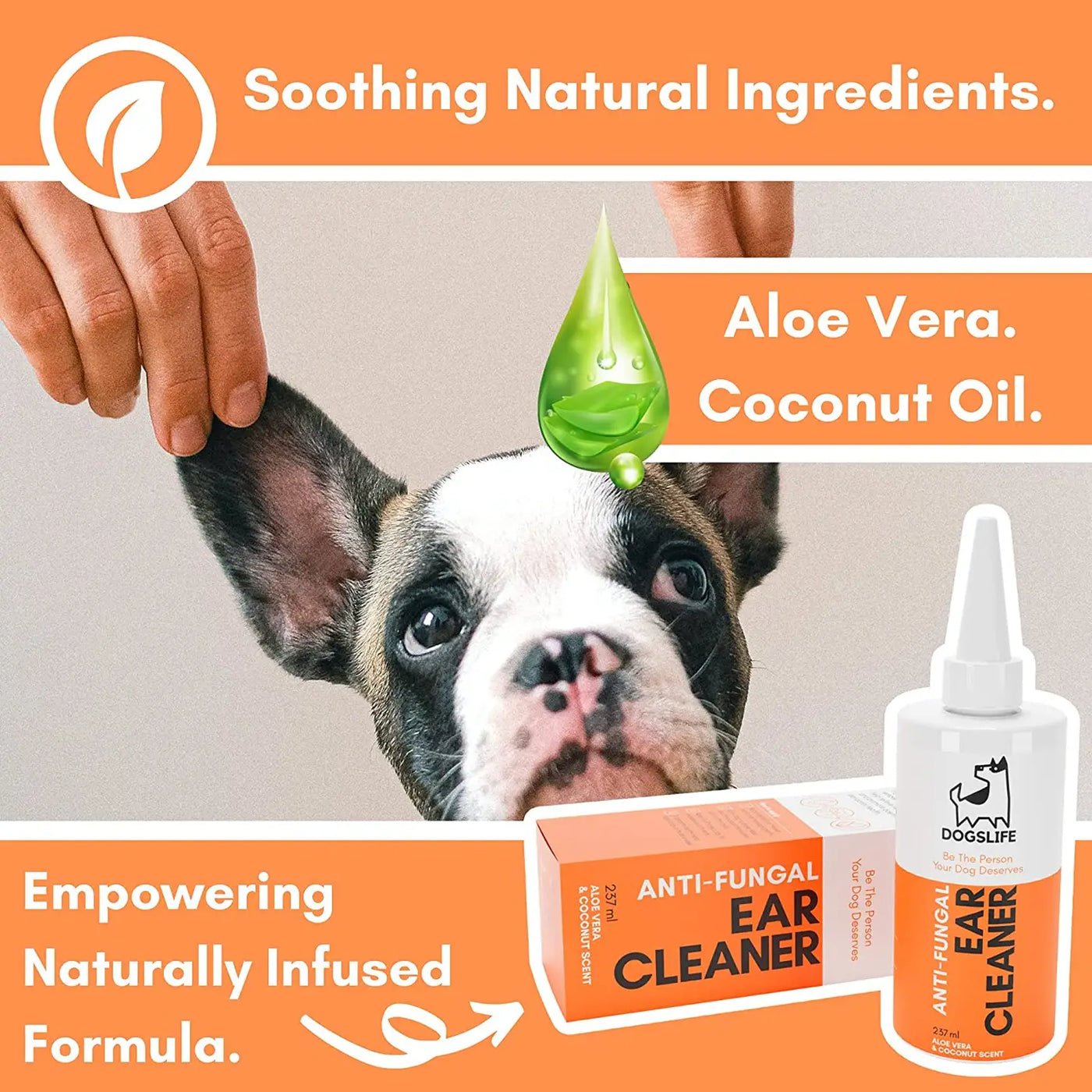 Natural ear cleaning solution for dogs best sale