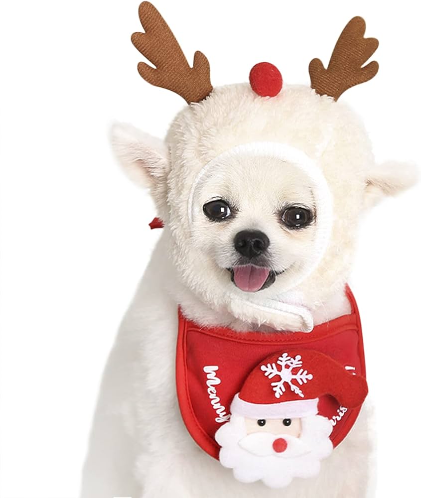 Reindeer Hat