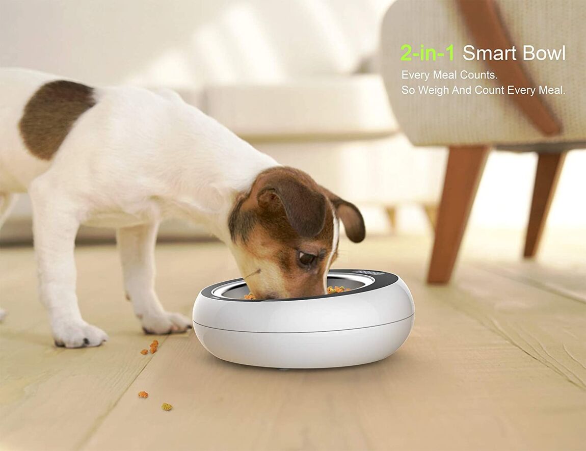 2-in-1 Smart Bowl