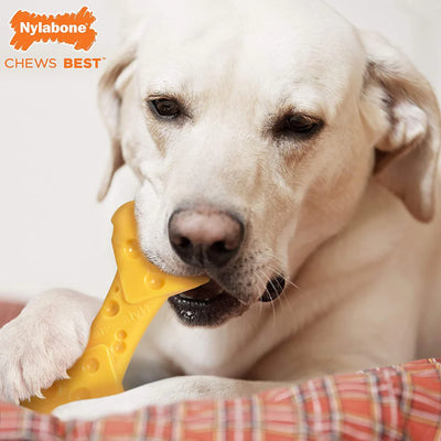 Power Chew Cheese Bone