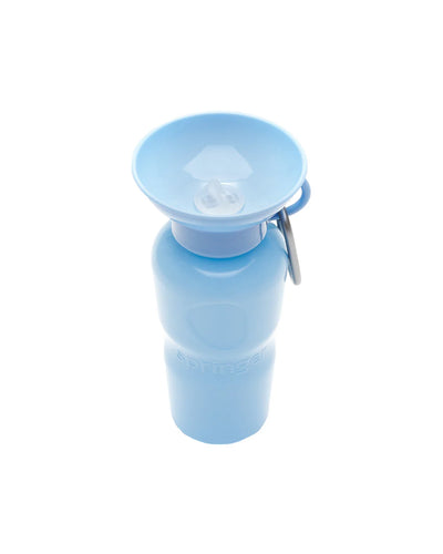 Classic Water Bottle