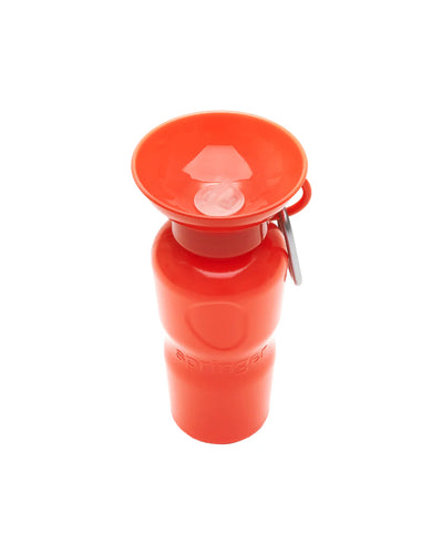 Classic Water Bottle