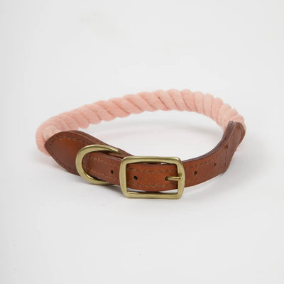 Rope & Leather Dog Collar