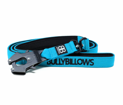 Swivel Combat Lead