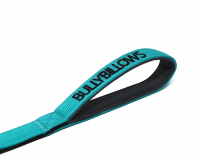 Swivel Combat Lead