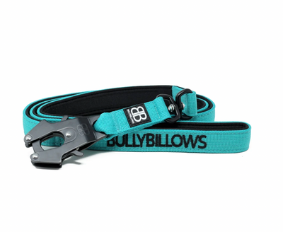 Swivel Combat Lead
