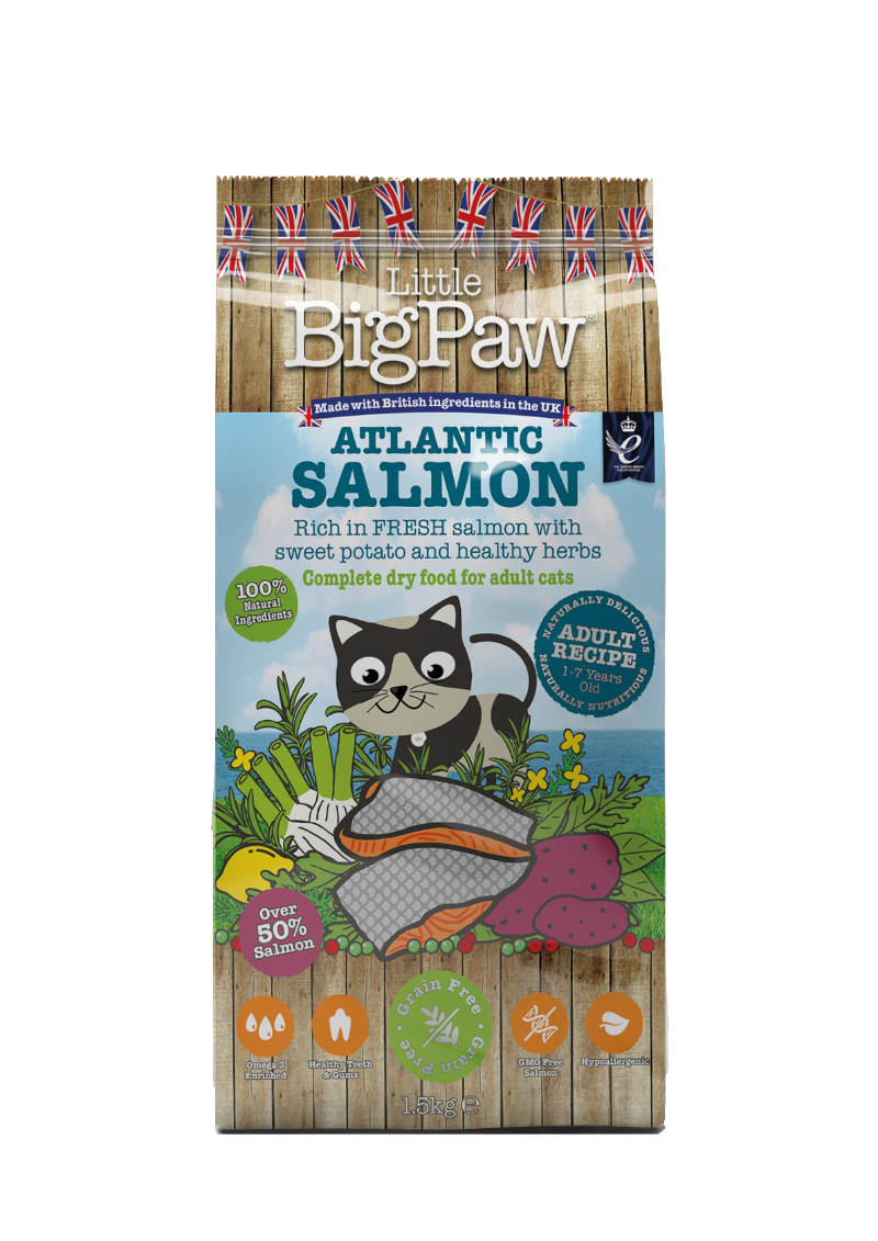 Atlantic Salmon Complete Dry Food for Adult Cats