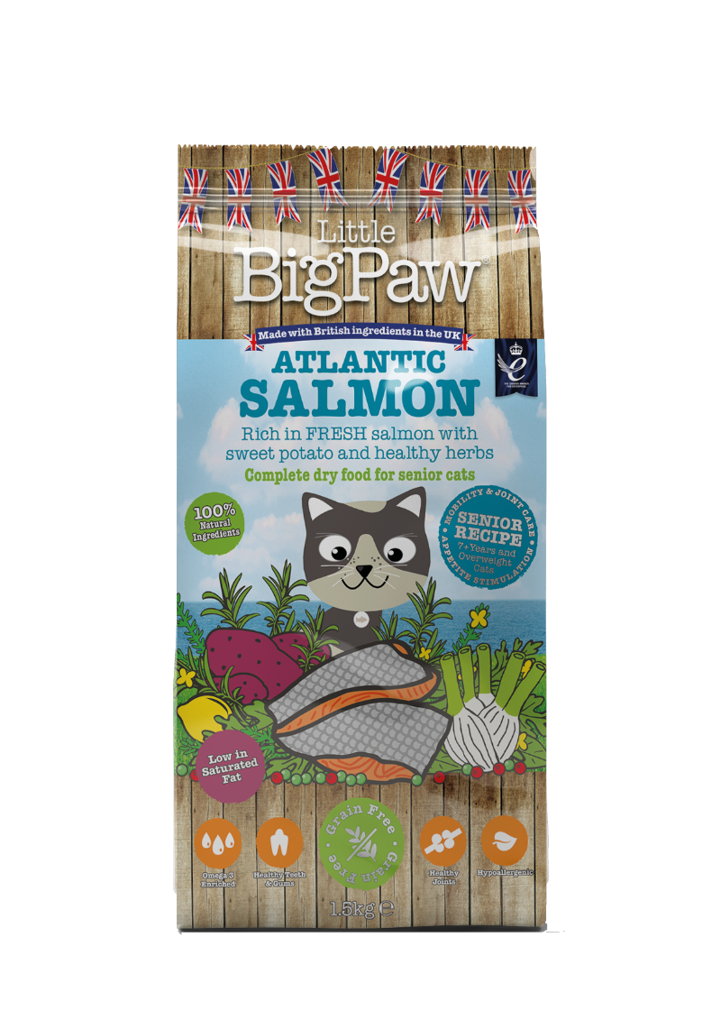Atlantic Salmon Complete Dry Food for Senior Cats