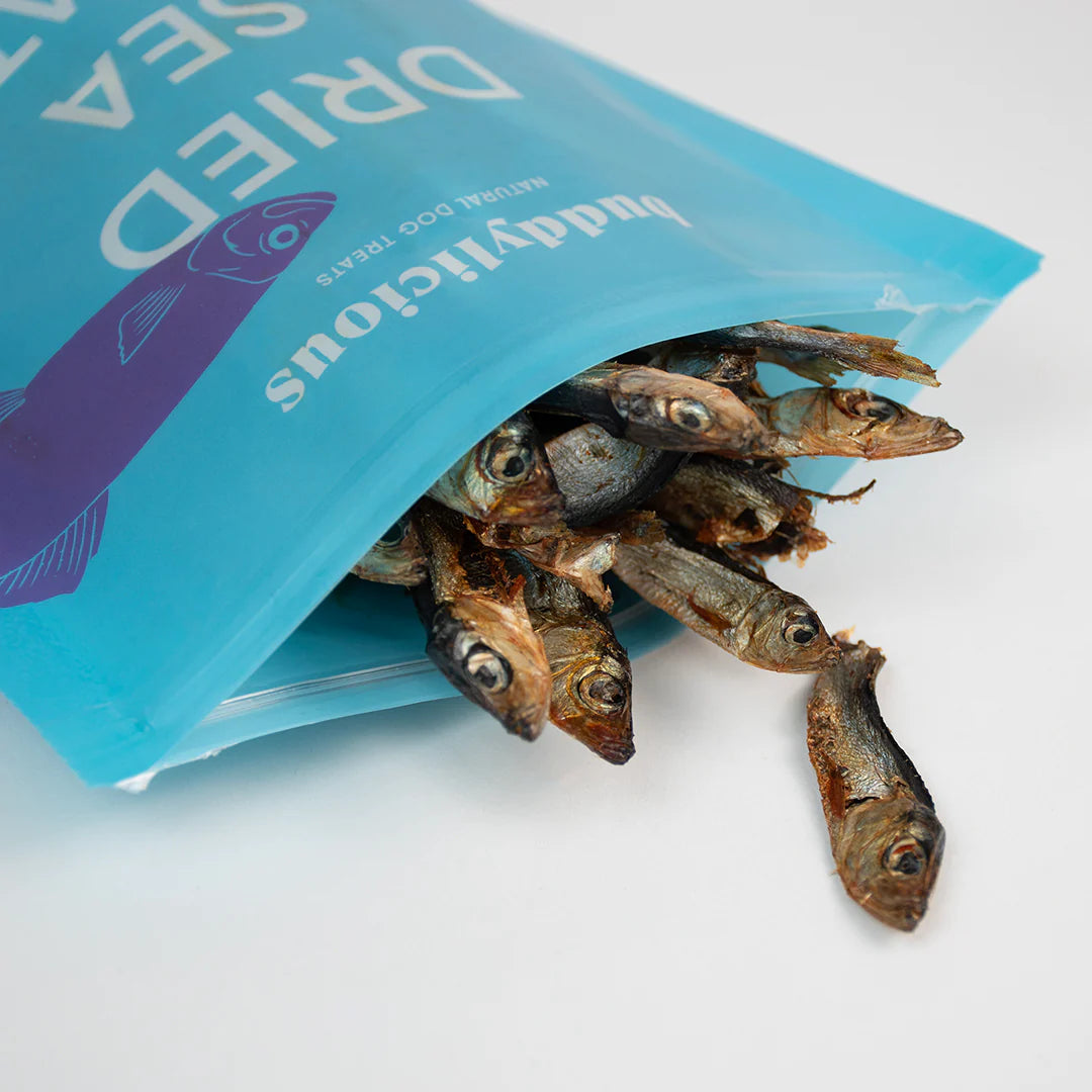 Buddylicious - Dried Sea Sprats