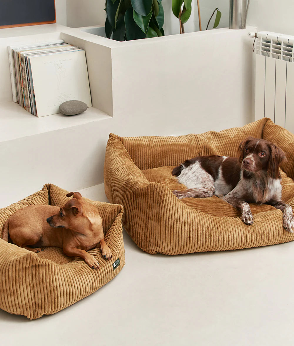 Mustard Corduroy Dog Bed - Snozy