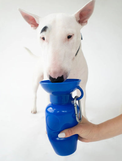 Classic Water Bottle