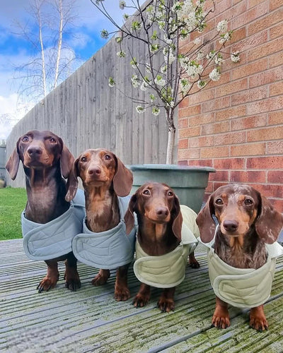 Dog Coat "Noble Tails"