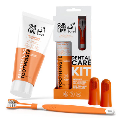 Toothpaste and toothbrush set