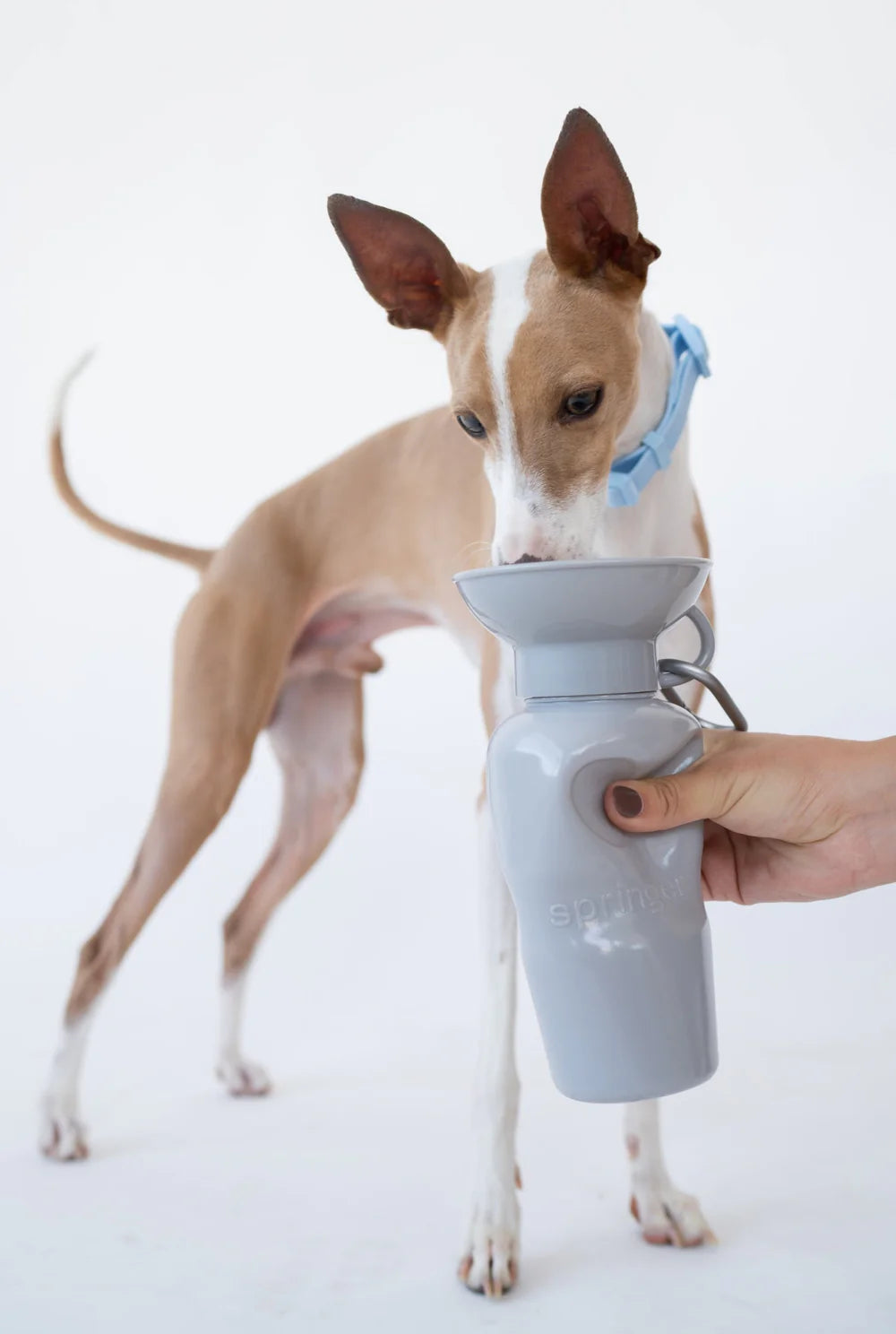 Classic Water Bottle