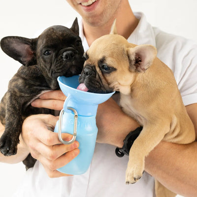 Mini Water Bottle