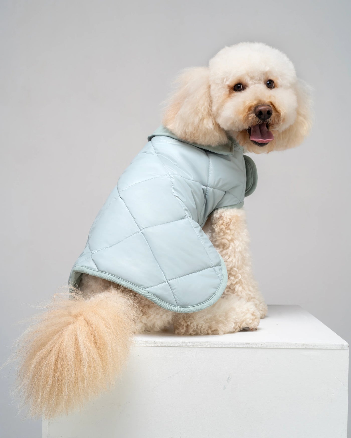 Dog Coat "Noble Tails"