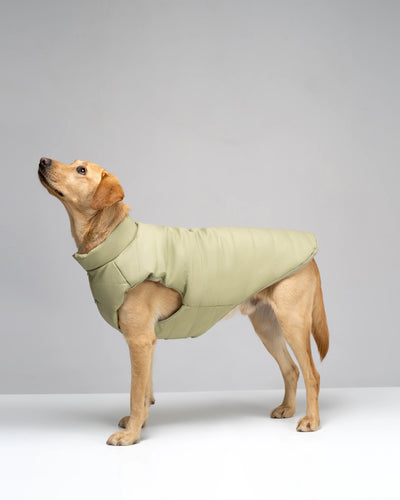 Puffer Dog Vest "Pawsome Fashionista"