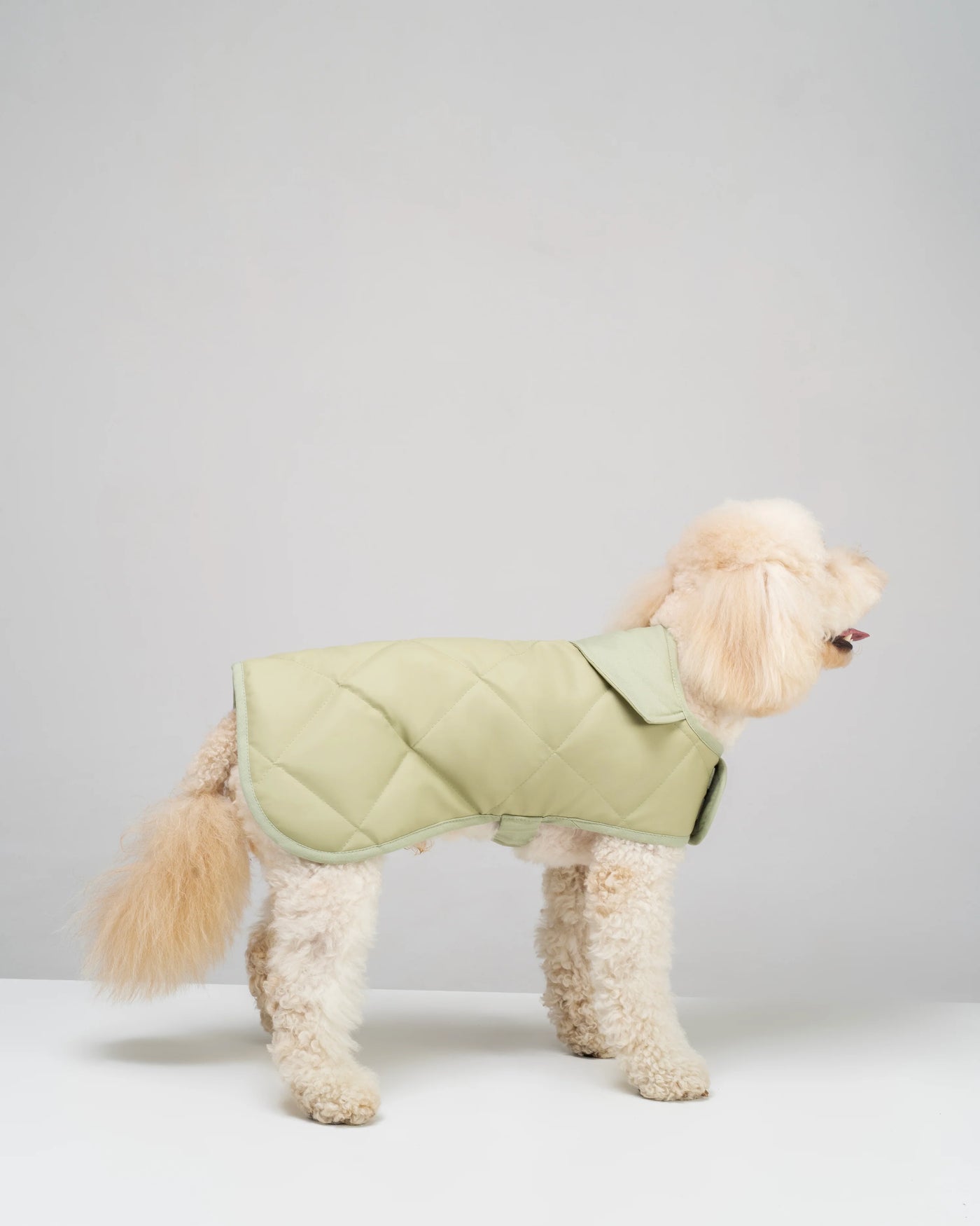 Dog Coat "Noble Tails"