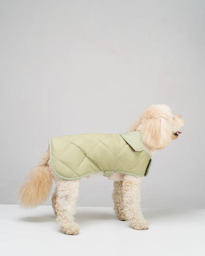 Dog Coat "Noble Tails"