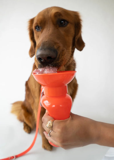 Classic Water Bottle