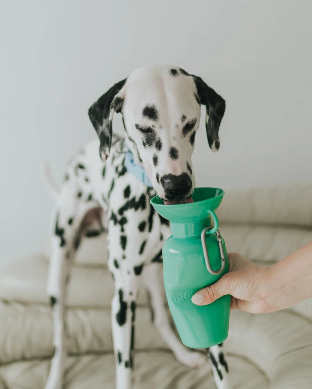 Classic Water Bottle