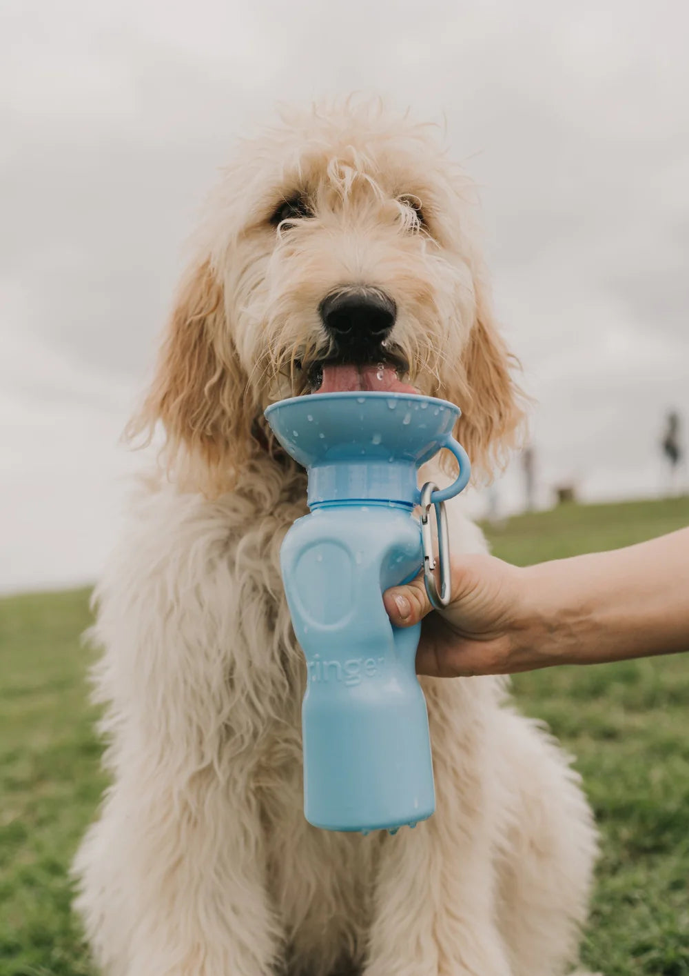 Classic Water Bottle