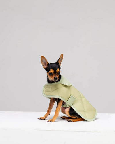 Dog Coat "Noble Tails"