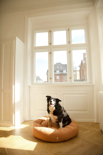 Donut Bed Light Brown