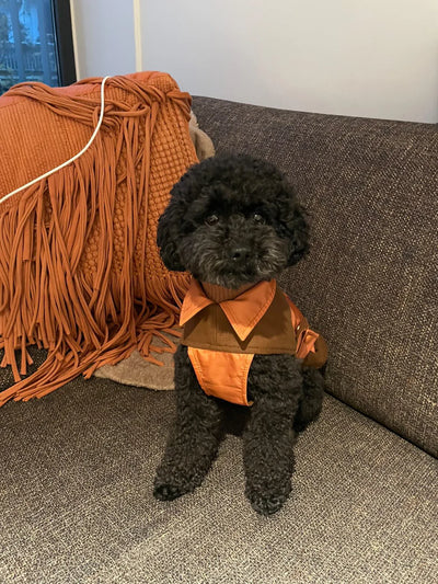 Dog Coat Blanket "Noble Tails"