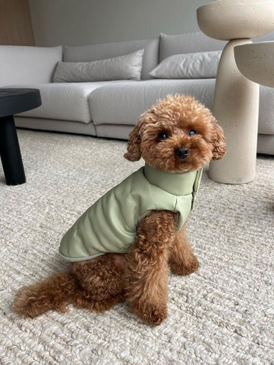 Puffer Dog Vest "Pawsome Fashionista"
