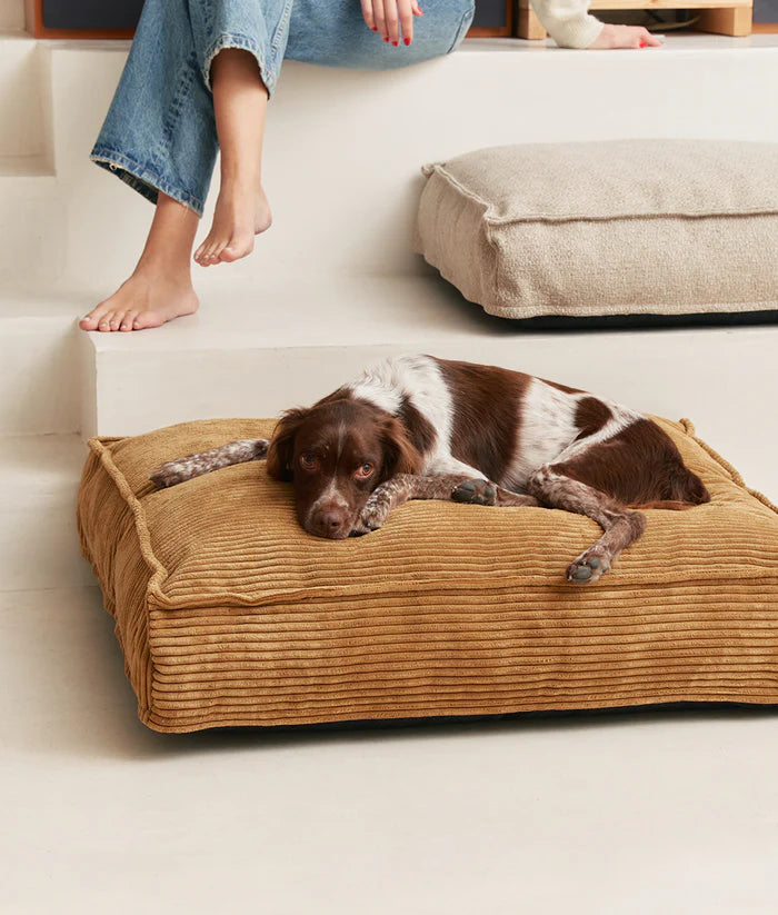 Mustard Dog Bed - Cuadra