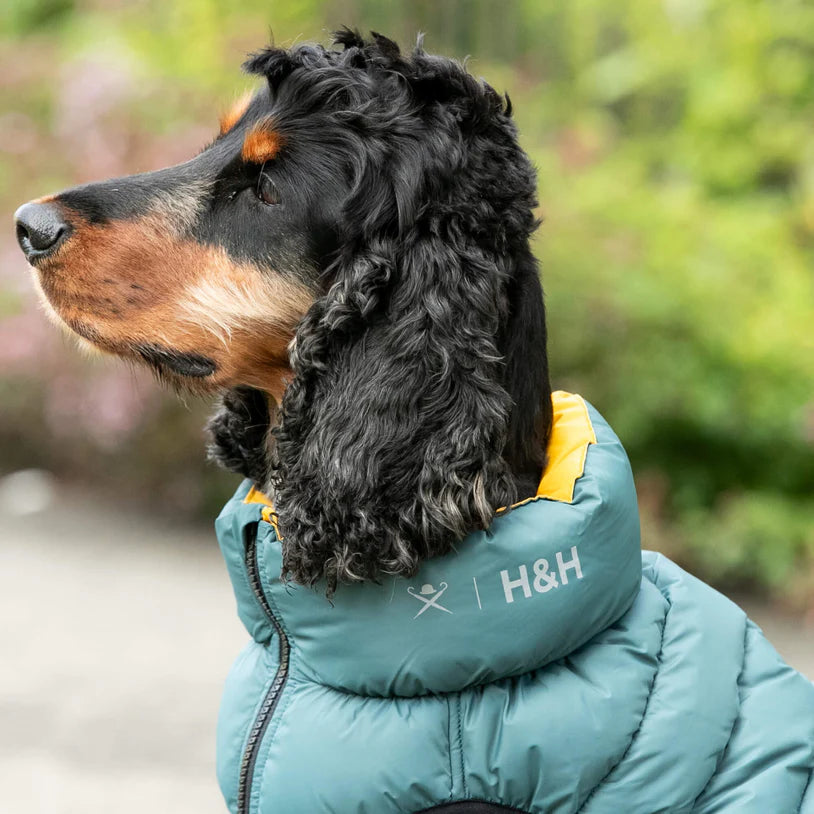 Reversible Puffer Jacket – Paws Up Pet Shop