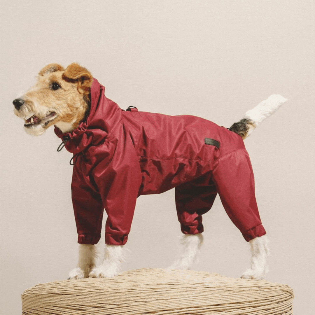 Overall "Pony - Jumpsuitony"