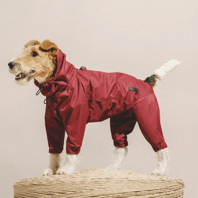 Overall "Pony - Jumpsuitony"