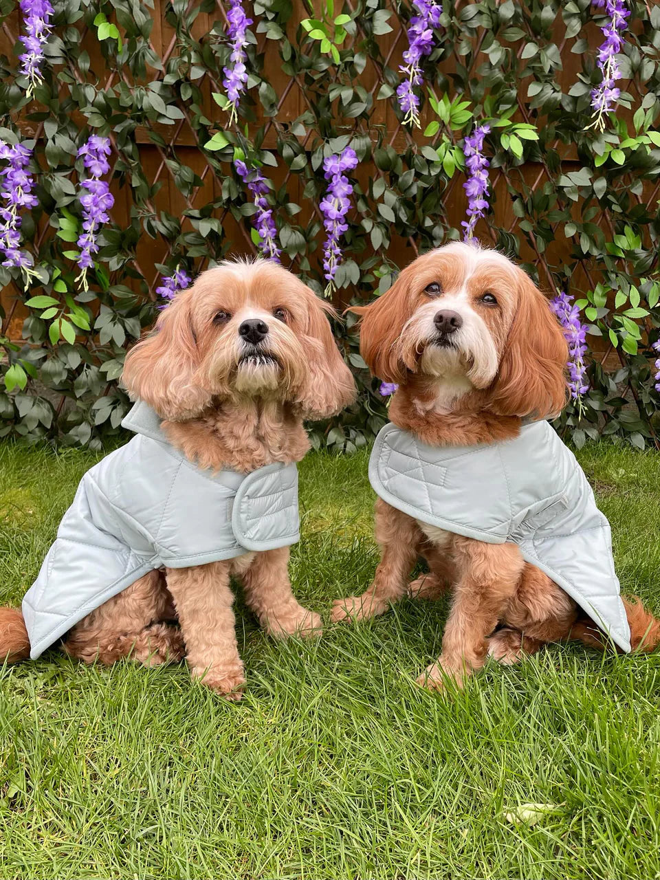 Dog Coat "Noble Tails"