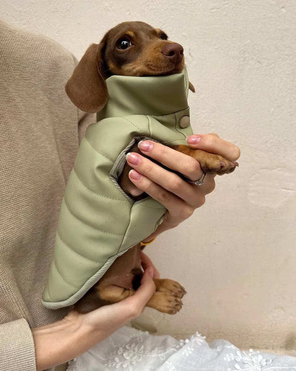 Puffer Dog Vest "Pawsome Fashionista"