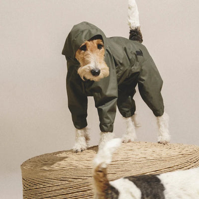 Overall "Pony - Jumpsuitony"