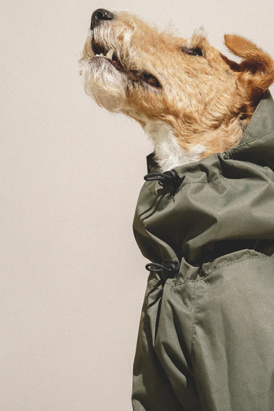 Overall "Pony - Jumpsuitony"