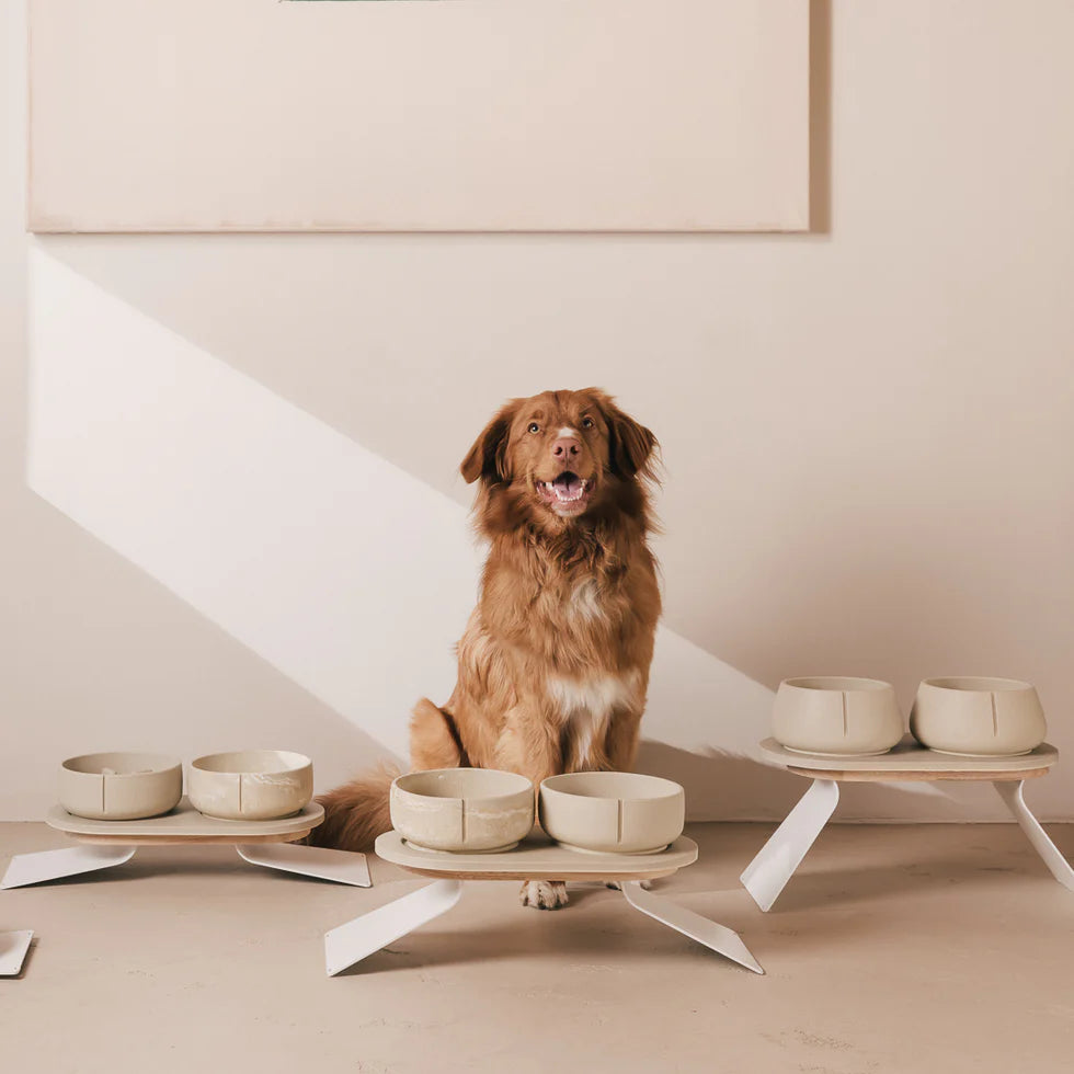 Pino Classic Feeder - Marble Beige
