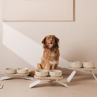 Pino Classic Feeder - Marble Beige