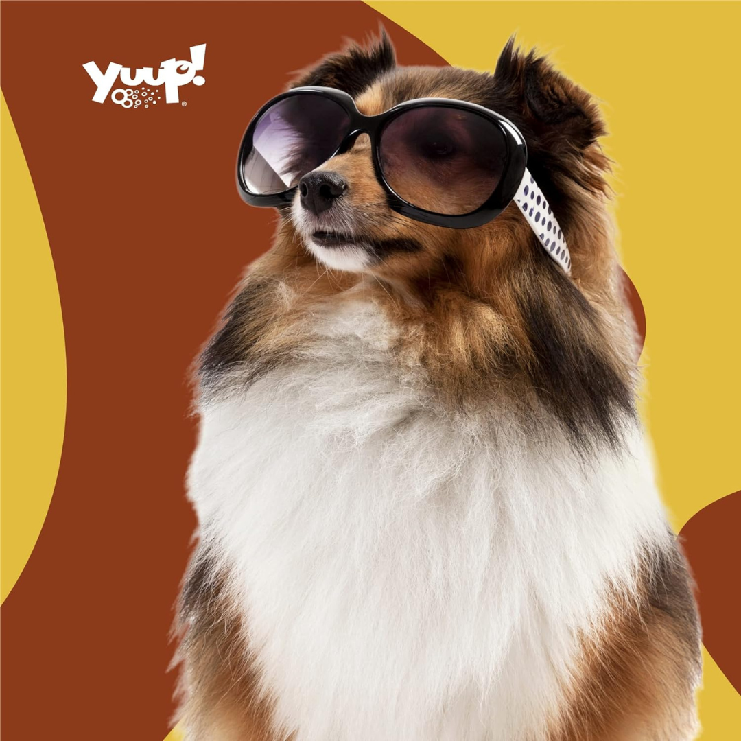 Yuup! Duo Sun Protection Kit for Dogs