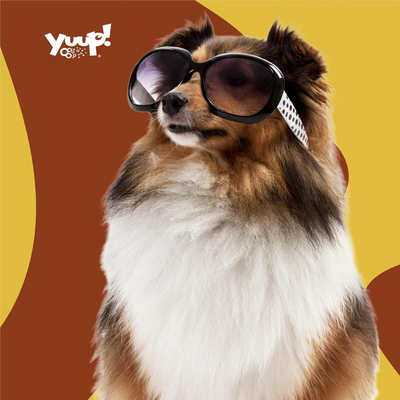 Yuup! Duo Sun Protection Kit for Dogs