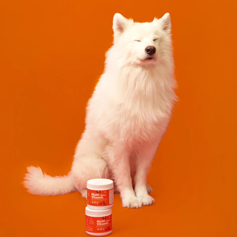 PetPal Multi Vitamin Treats for Dogs