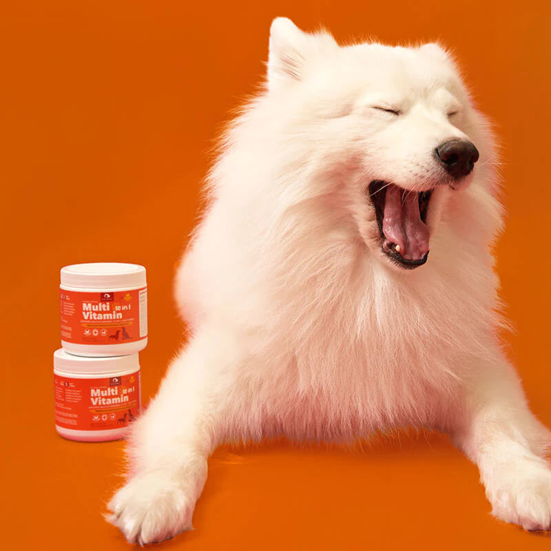 PetPal Multi Vitamin Treats for Dogs